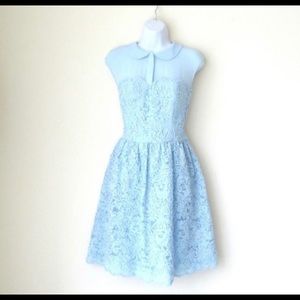 Ted baker baby blue Ranni lace collared dress 👗